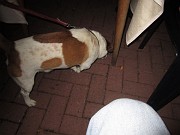IMG_9357