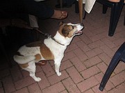 IMG_9363