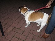 IMG_9367