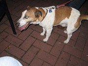 IMG_9369