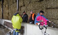 IMG 8856