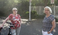 IMG 0259