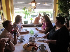 IMG_3735