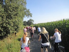 IMG_3763