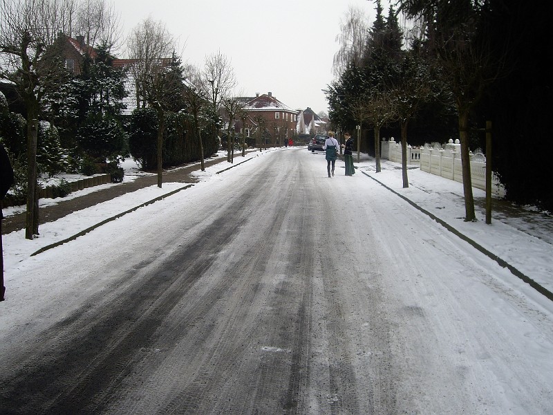 IMGP0165.JPG