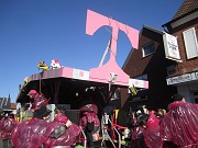 IMG_0556