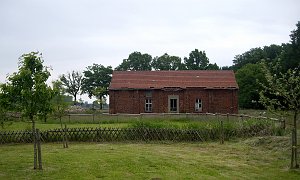IMGP4781