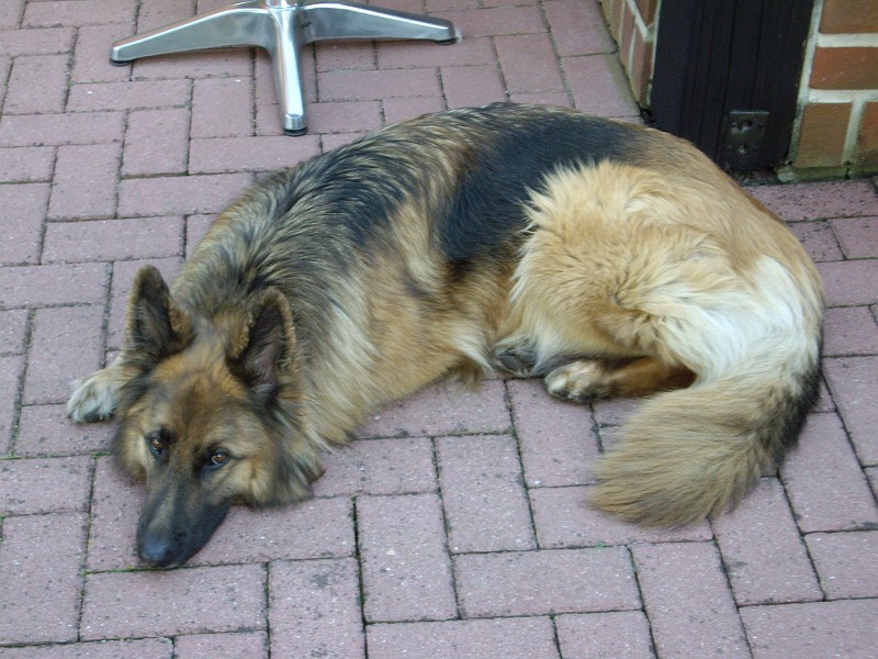 IMGP8806.JPG