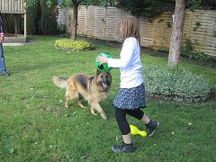 IMG_1225