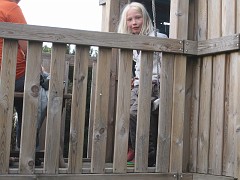IMG_1253