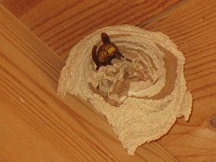 IMG_1936