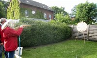 IMG 8433