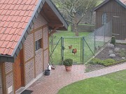 IMG_0428
