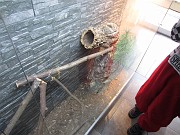 IMG_0718