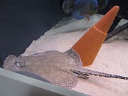 IMG_0722
