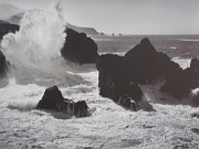 IMG_2990