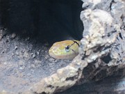 IMG_2995
