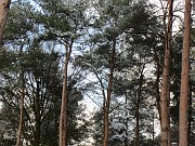 IMG_3009