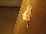 IMG_3094