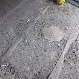 IMG 9520